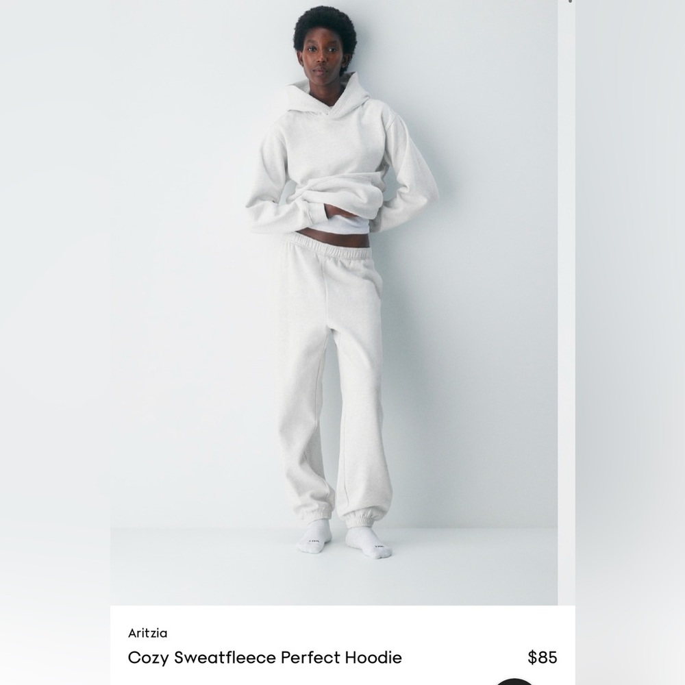 Aritzia - Cozy perfect hoodie